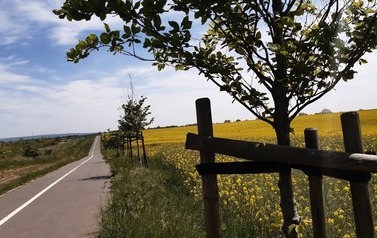 Ścieżka rowerowa Karwowo - Warnik. Od strony Warnika