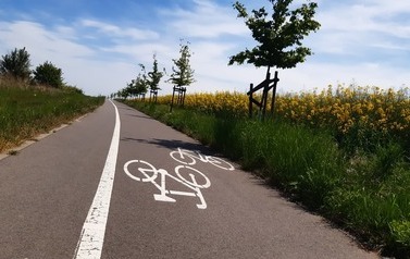 Ścieżka rowerowa Karwowo - Warnik. Od strony Warnika