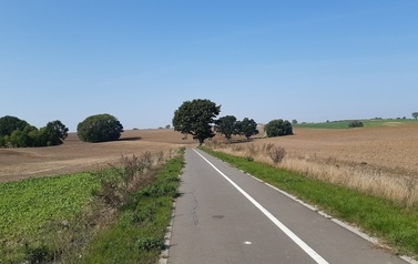 Ścieżka rowerowa Karwowo - Warnik. Od strony Karwowa