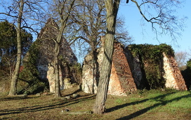 Ruiny w Moczyłach. Panorama świątyni z boku zza drzew