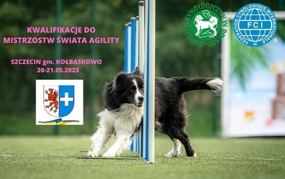 Zdjęcie do Kwalifikacje do Mistrzostw Świata Agility