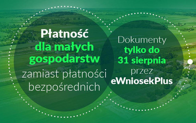 Zdjęcie do Płatność dla małych gospodarstw zamiast płatności bezpośrednich