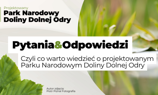 Zdjęcie do Park Narodowy Doliny Dolnej Odry - informacje